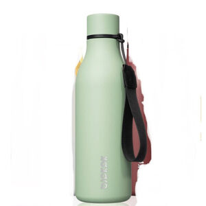 NEW Bjork 18oz Insulated Stainless Steel Water Bottle Green/Black